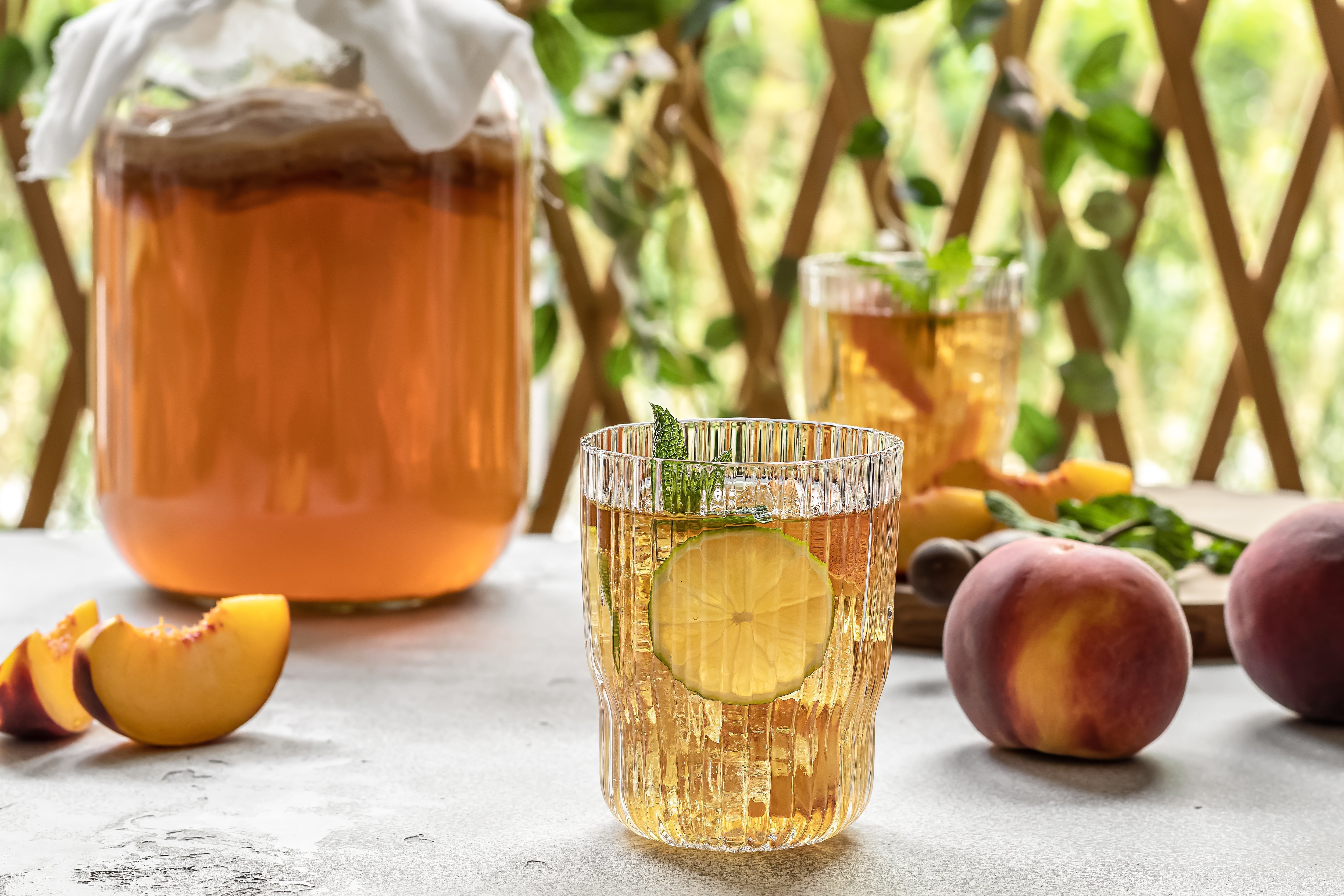 🌍 World Kombucha Day am 21. Februar: Geschichte, Fakten & Tipps zum Feiern