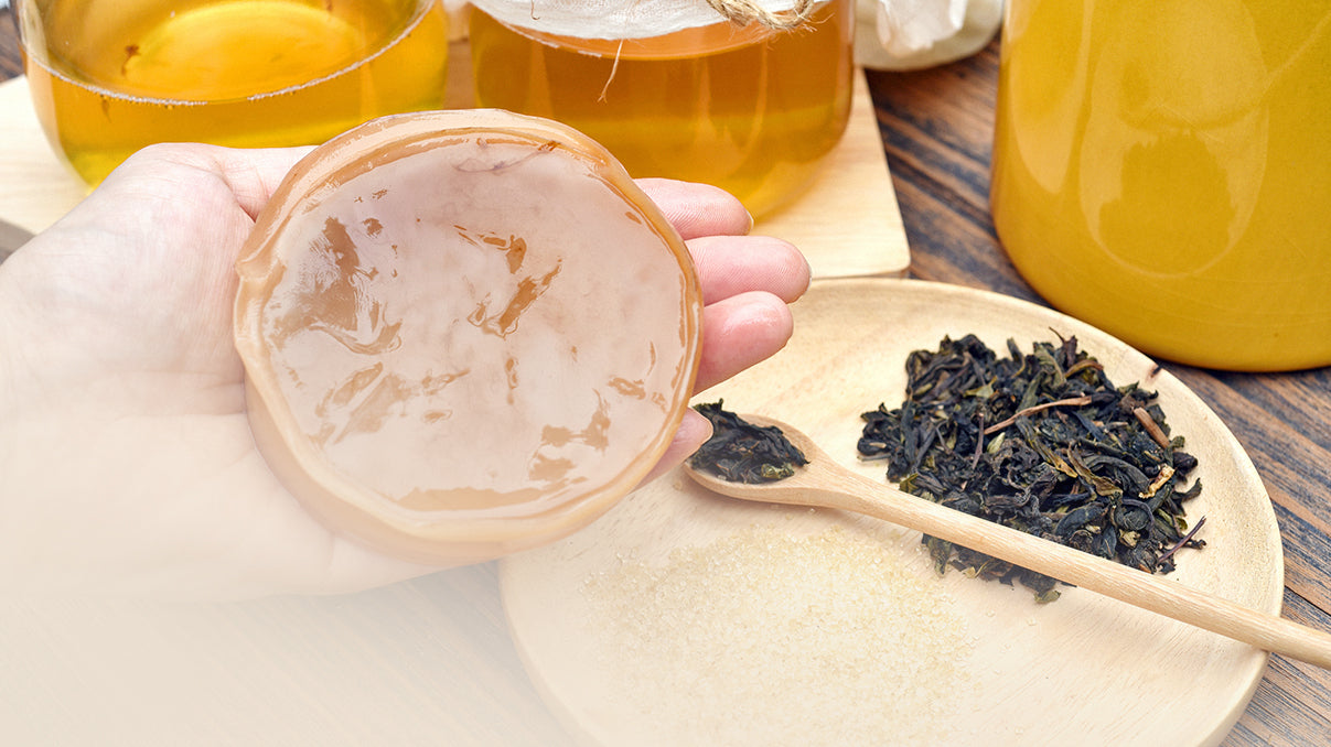 Kombucha-Pilz: Alles ber den Teepilz  KOMBUCHERY  Kombuchery
